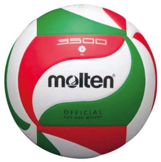 Balón de Voleibol Profesional