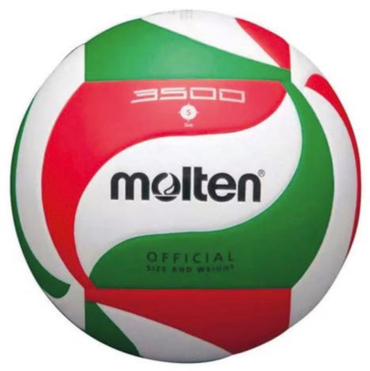 Balón de Voleibol Profesional